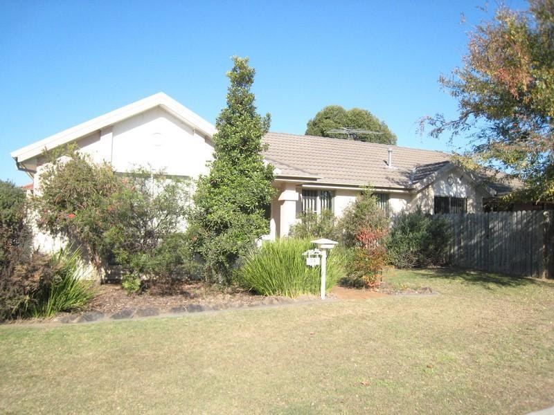 Image of backyard