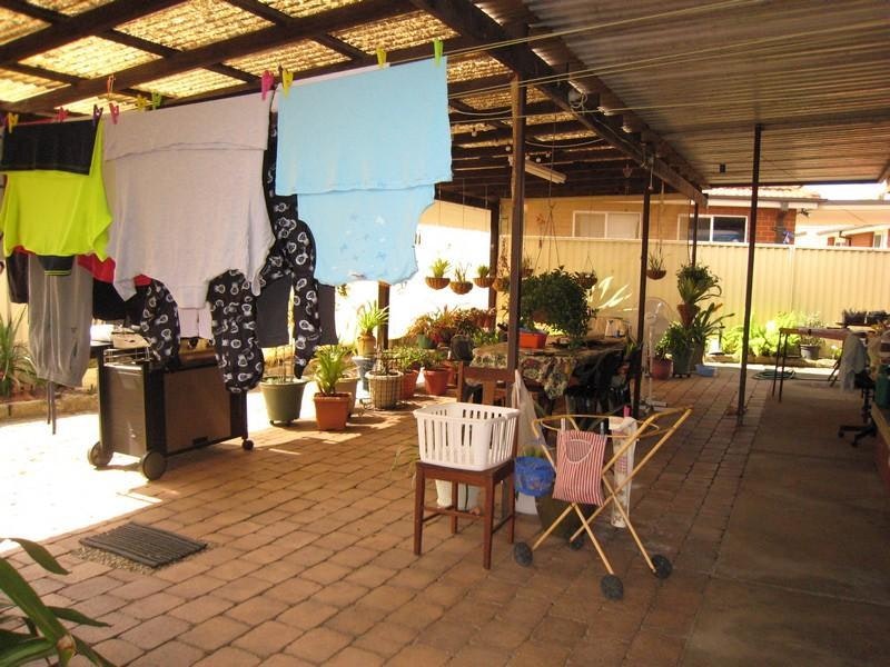 Image of plant