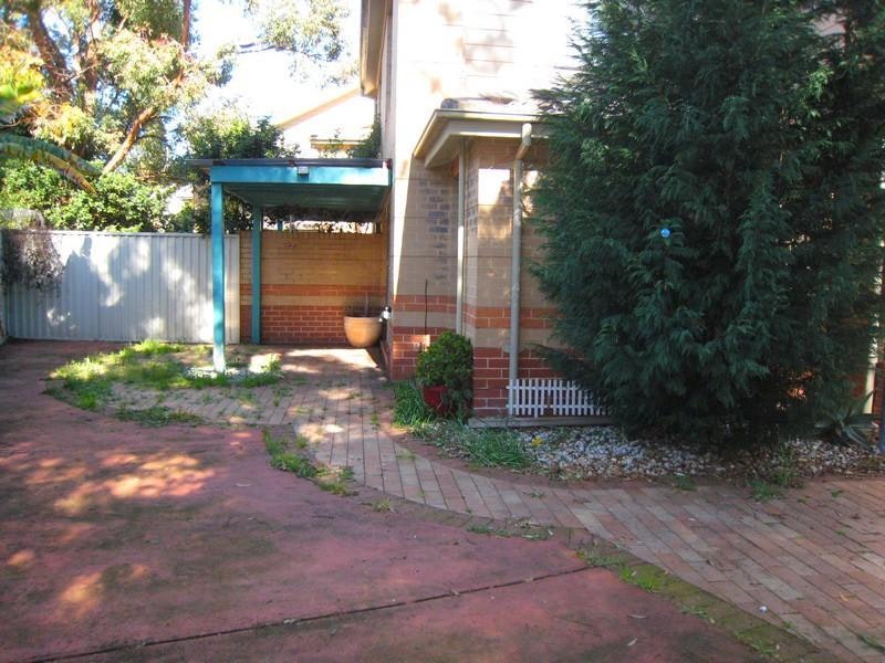 Image of backyard