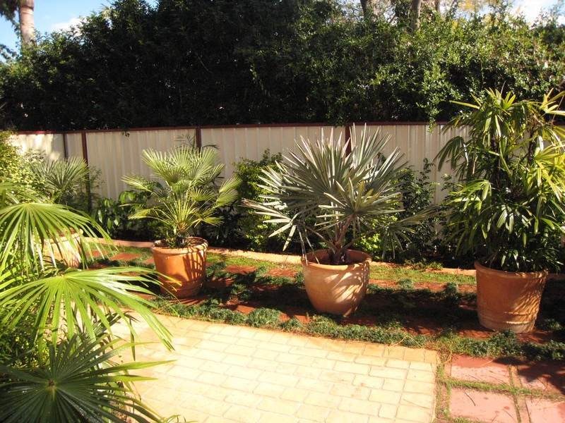 Image of backyard