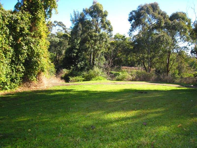 Image of grass
