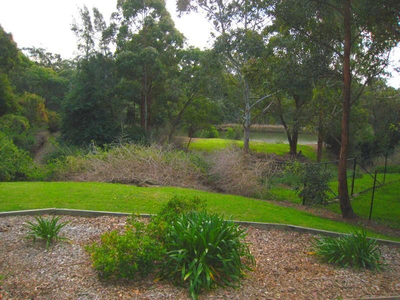 Image of grass