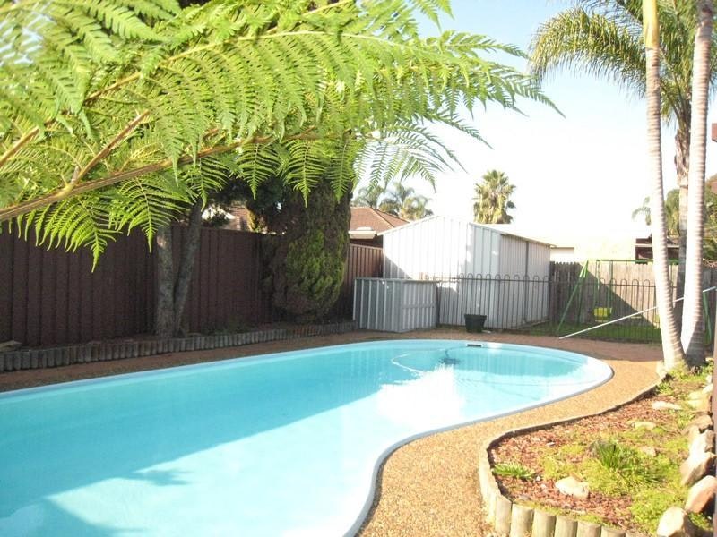 Image of backyard