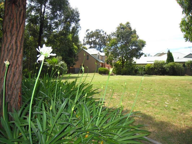 Image of grass