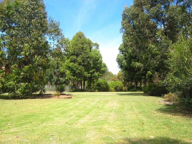Image of grass