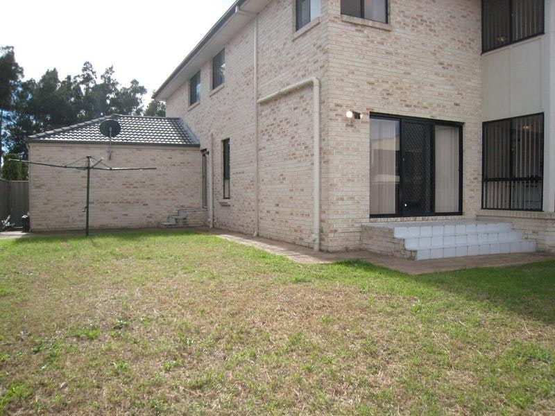 Image of backyard