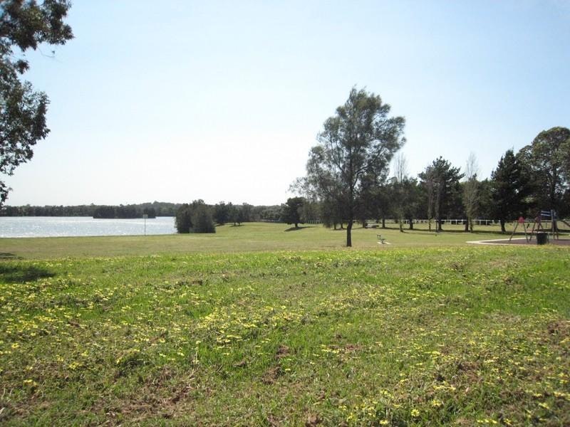 Image of grass