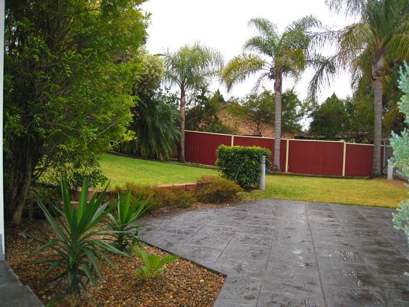 Image of backyard