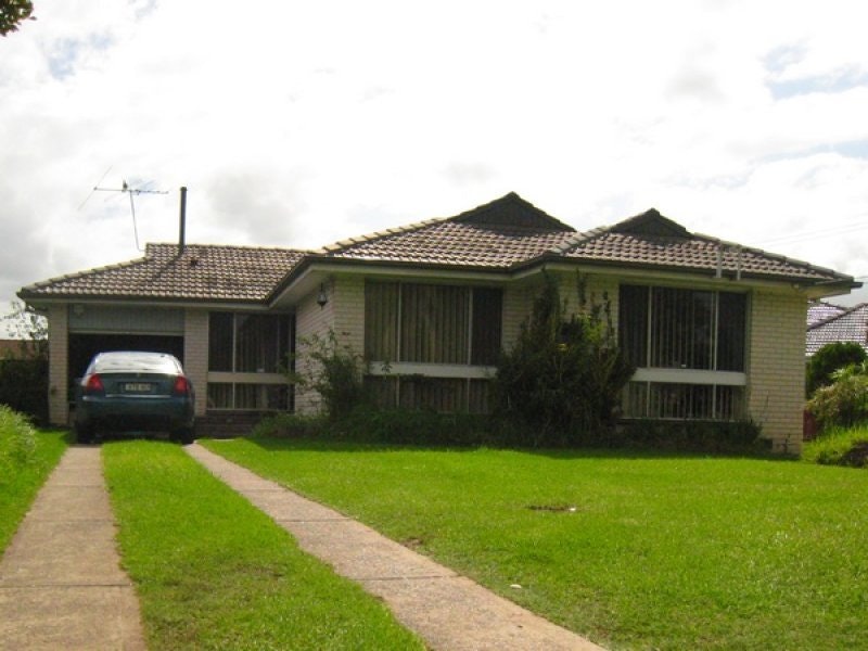 Image of grass