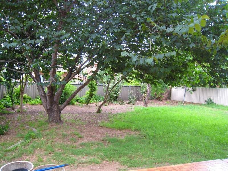Image of backyard