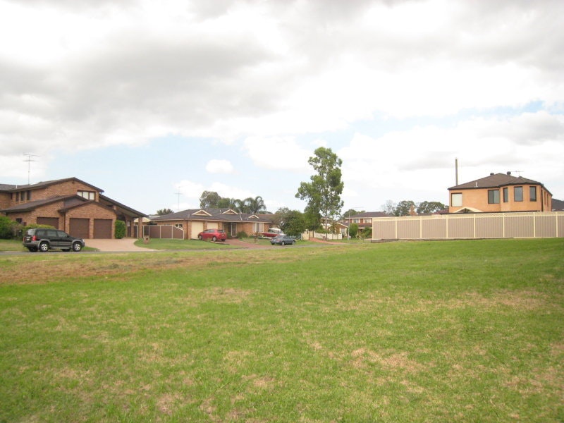 Image of grass