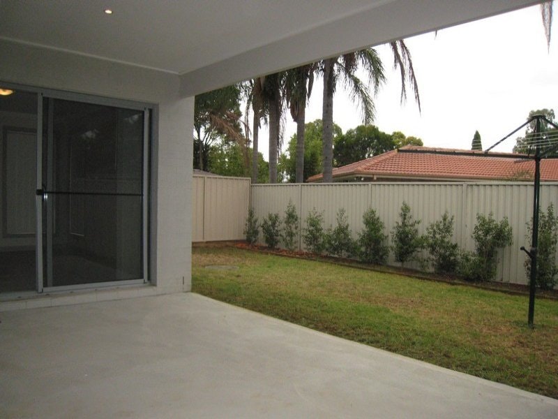 Image of backyard