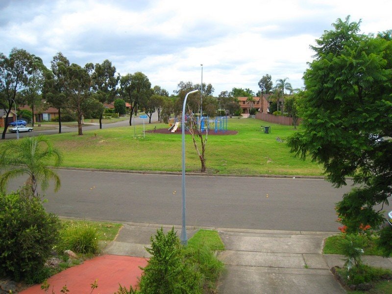 Image of grass