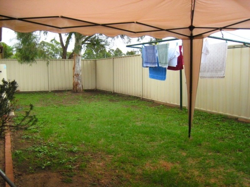 Image of backyard