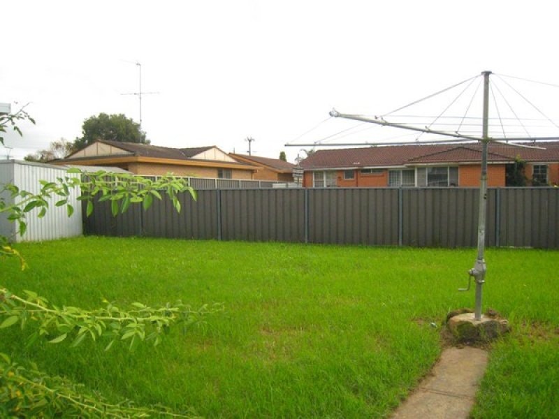 Image of backyard