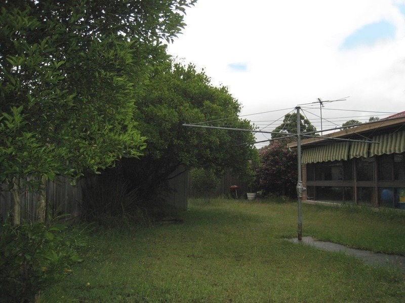 Image of backyard