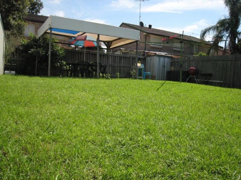 Image of grass