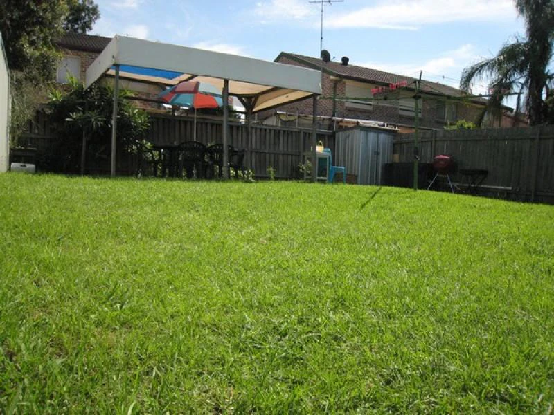grass