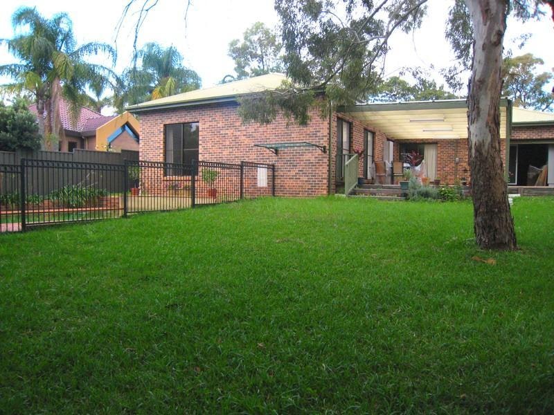Image of backyard