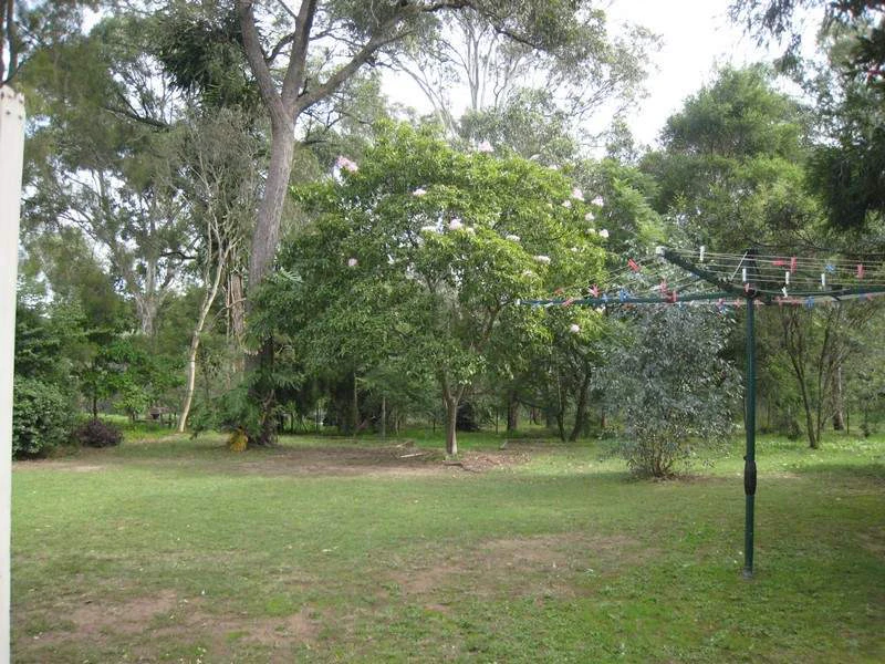 vegetation