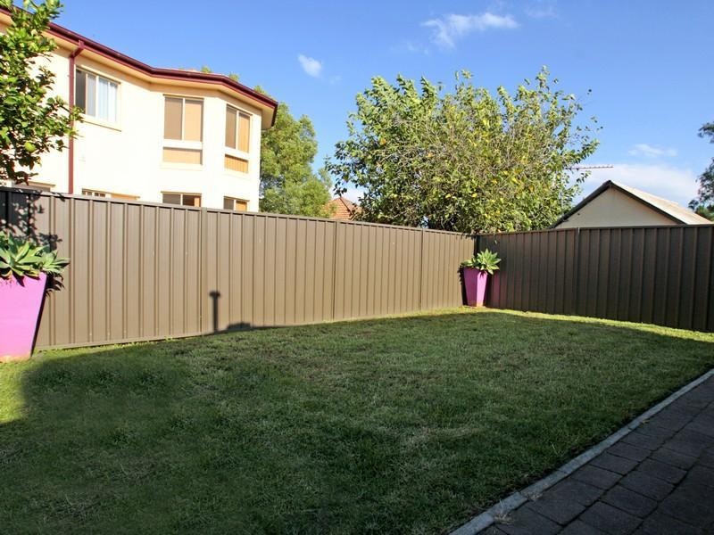 Image of backyard