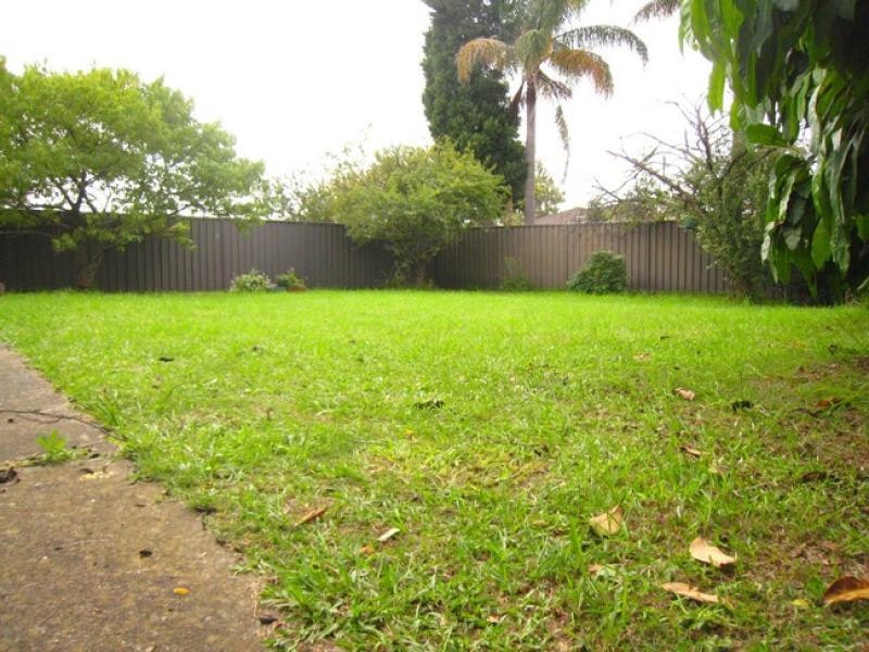 Image of backyard
