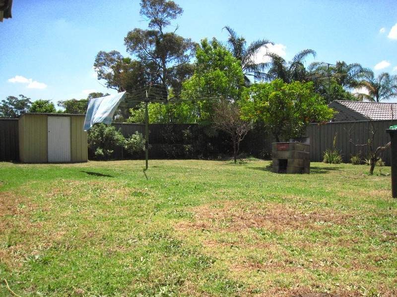 Image of backyard