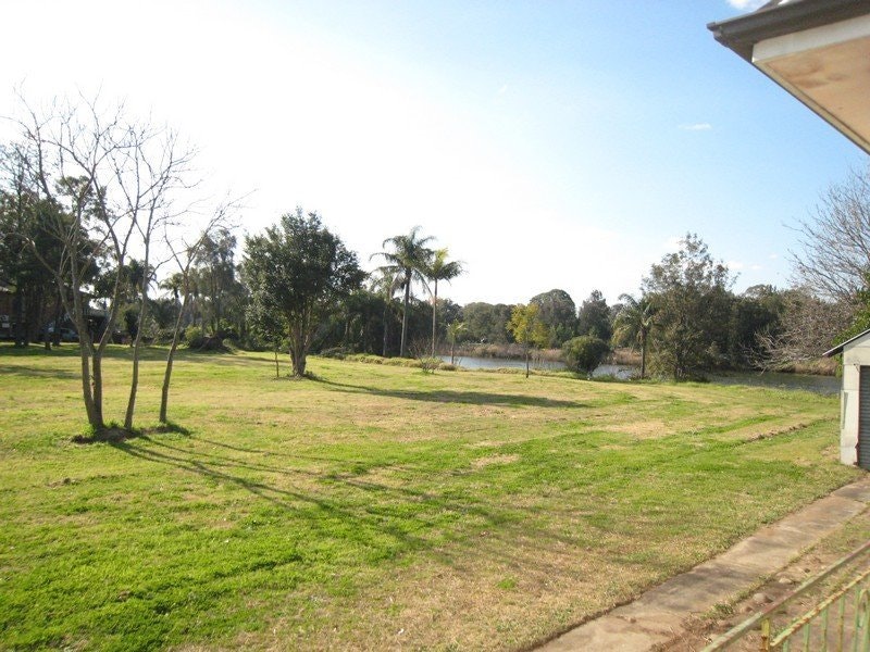 Image of grass