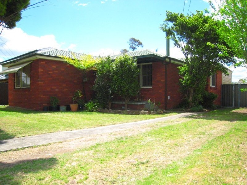Image of backyard