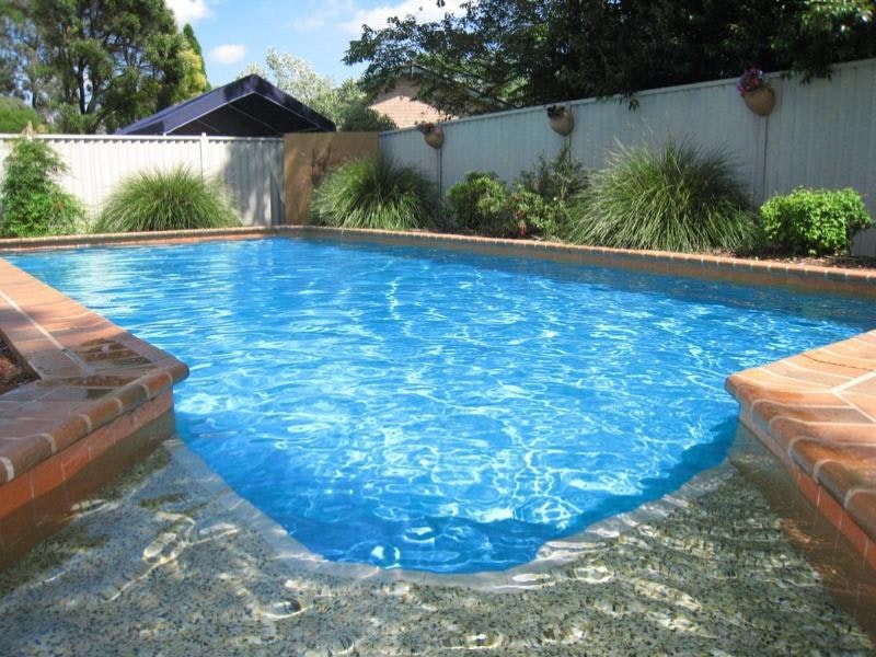 Image of backyard