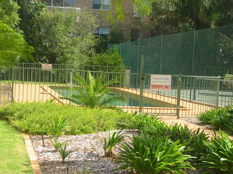 Image of backyard