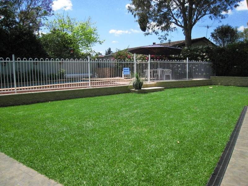 Image of backyard