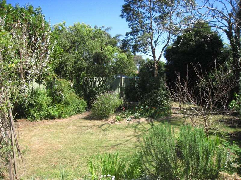 vegetation