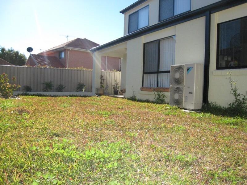 Image of backyard