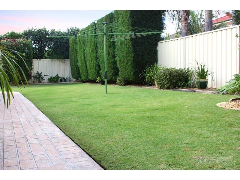 Image of backyard