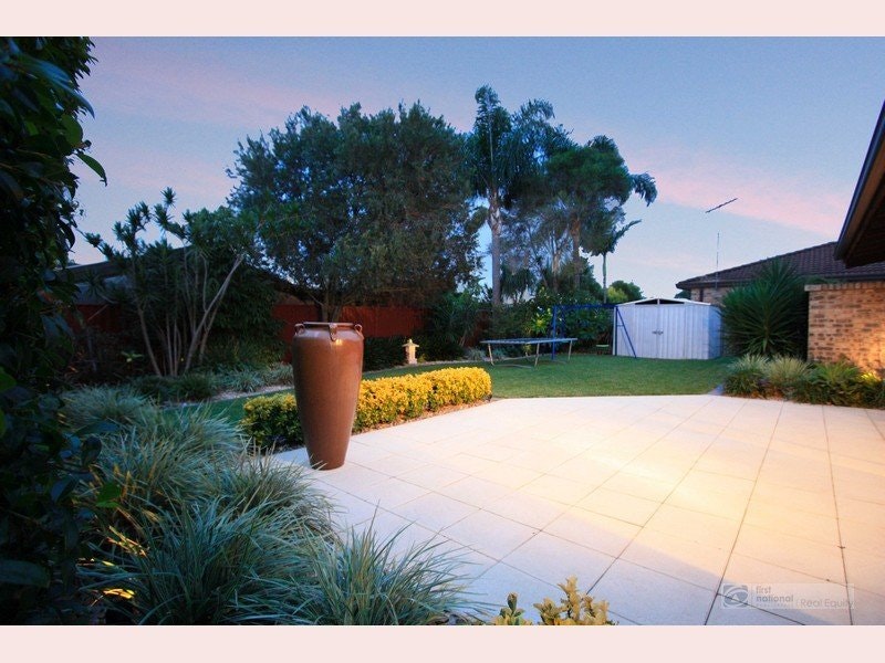 Image of backyard
