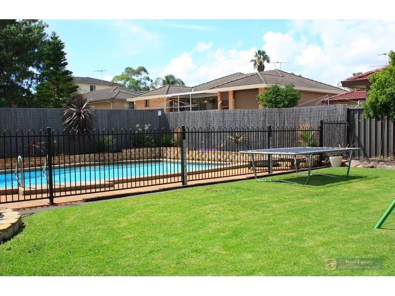 Image of backyard