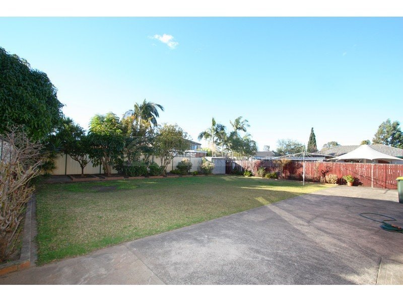 Image of backyard