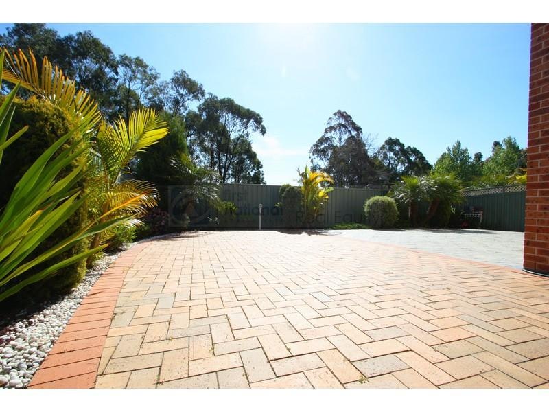 Image of backyard