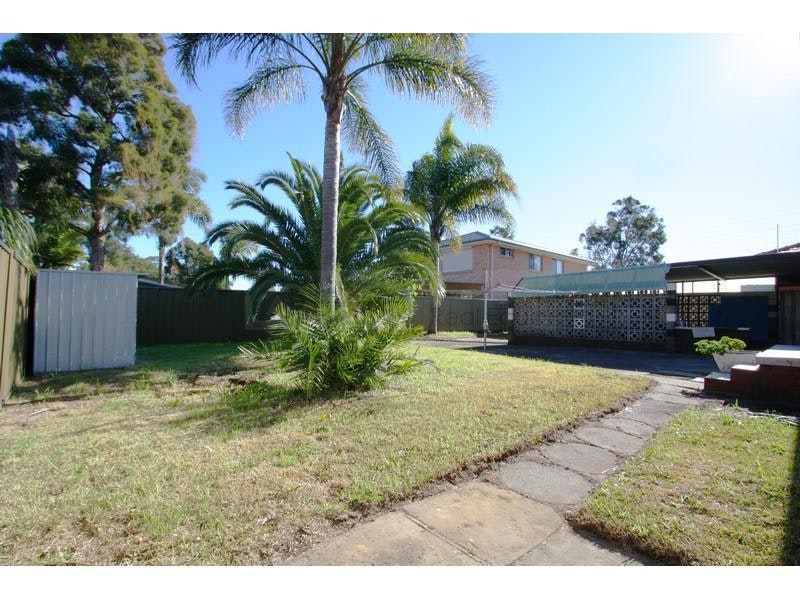 Image of backyard