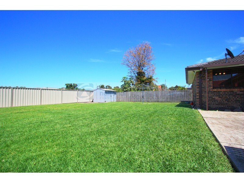Image of backyard