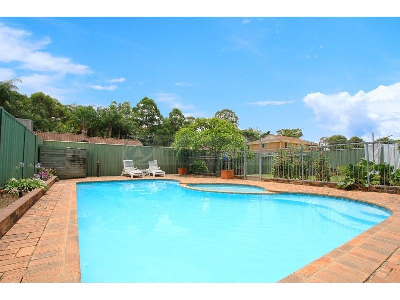 Image of backyard