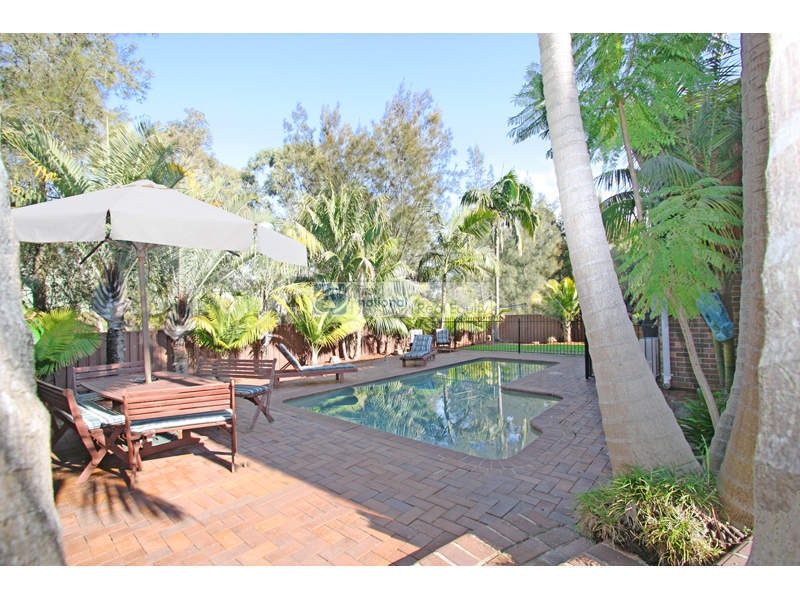 Image of backyard