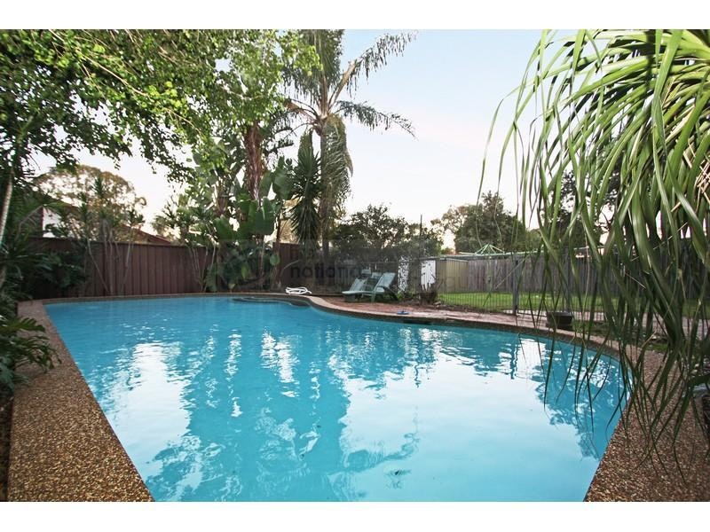 Image of backyard