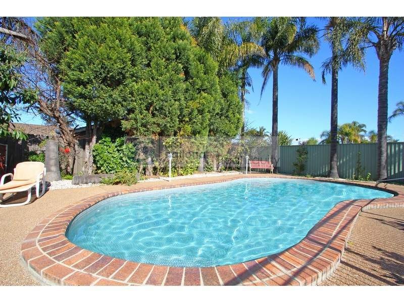 Image of backyard