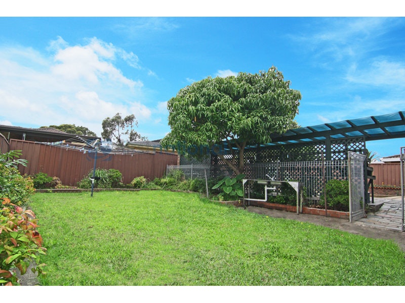 Image of backyard