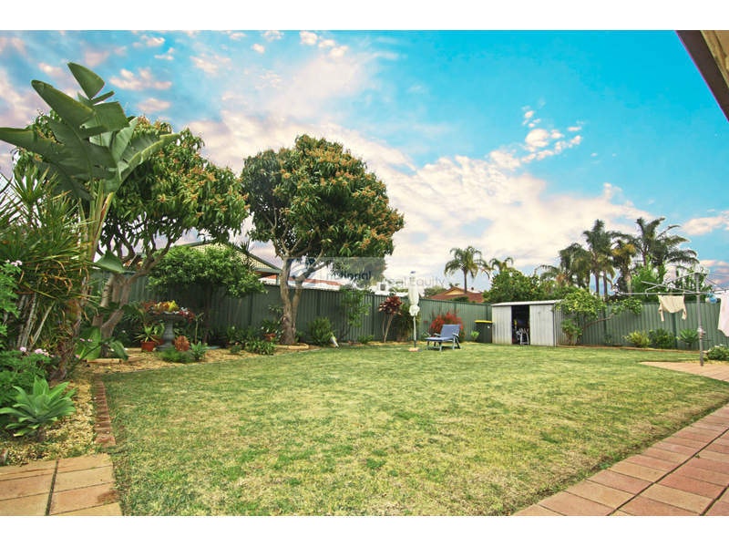 Image of backyard
