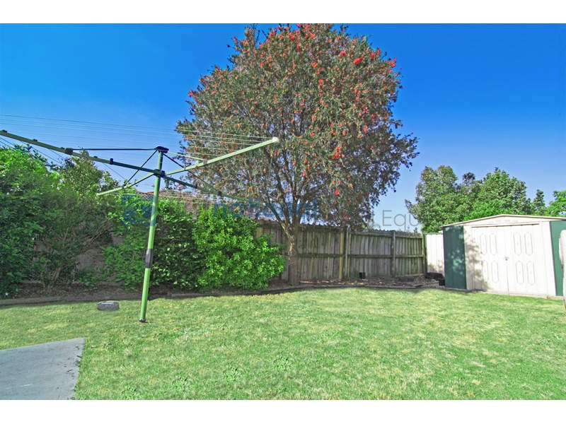 Image of backyard