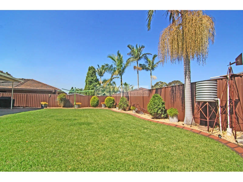 Image of backyard