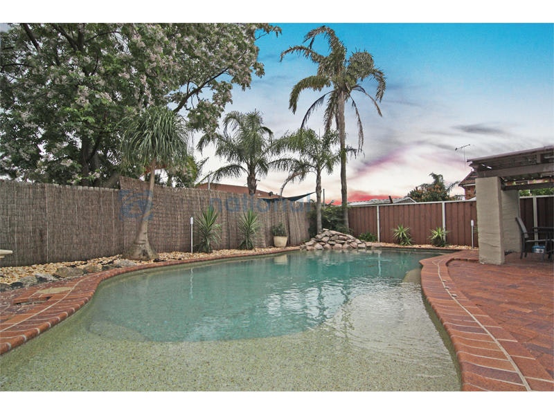 Image of backyard